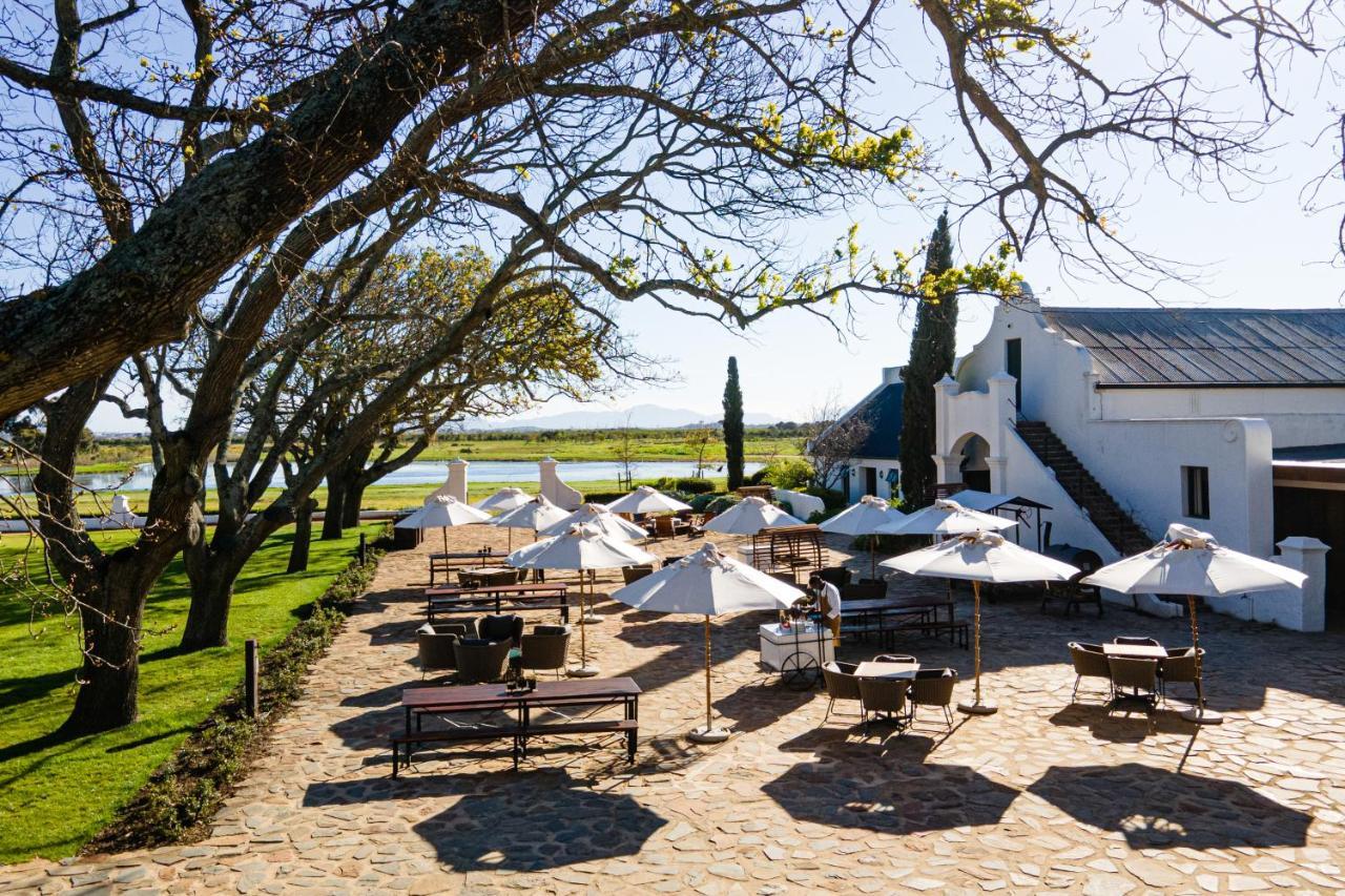 Vergenoegd Löw Boutique Hotel&Spa Le Cap Extérieur photo