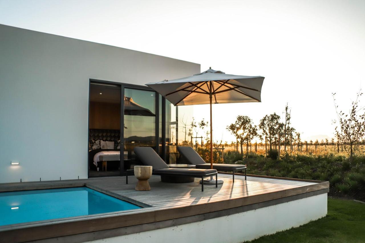 Vergenoegd Löw Boutique Hotel&Spa Le Cap Extérieur photo