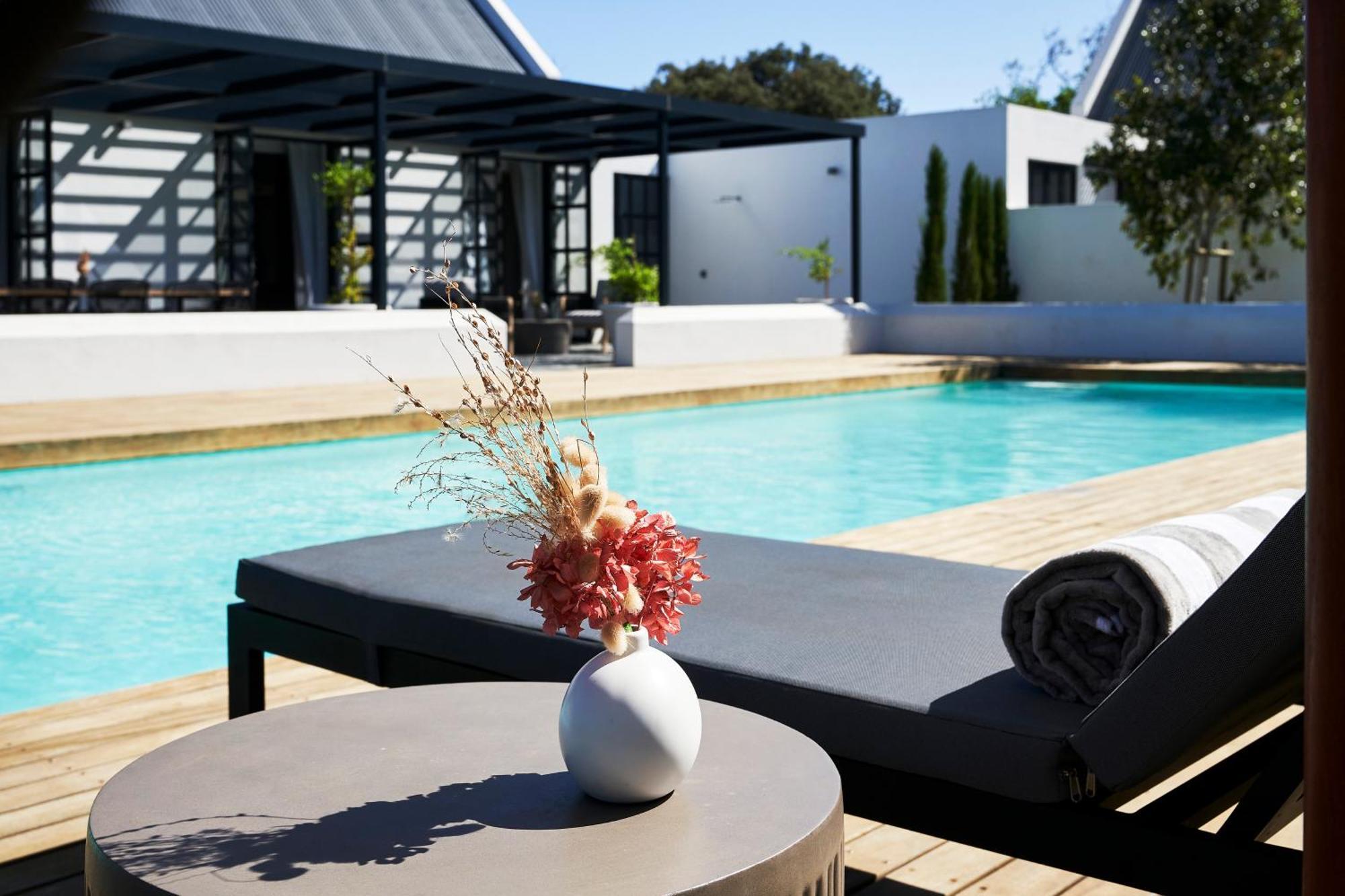 Vergenoegd Löw Boutique Hotel&Spa Le Cap Extérieur photo