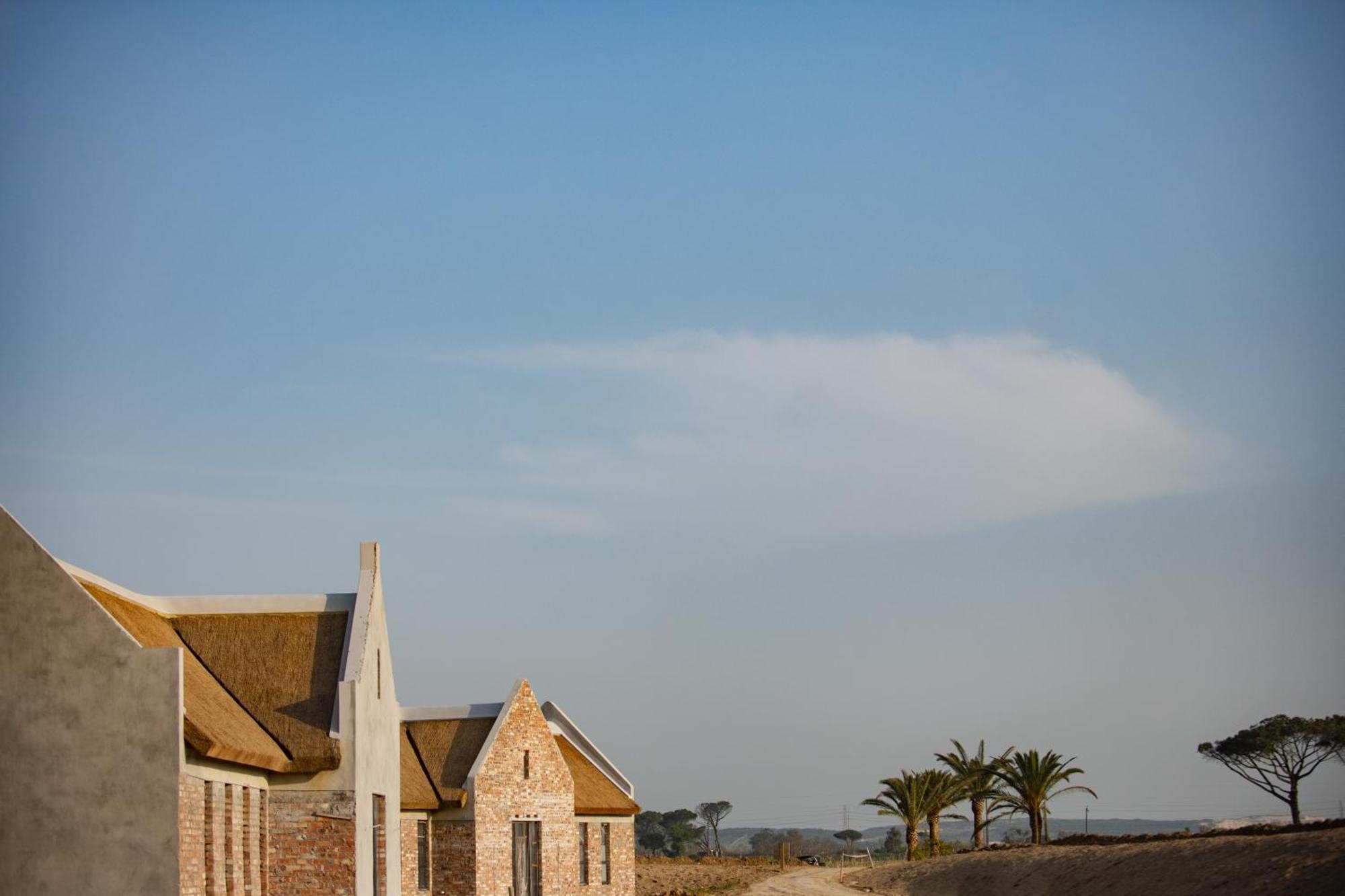 Vergenoegd Löw Boutique Hotel&Spa Le Cap Extérieur photo